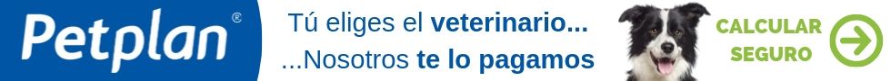 Tú eliges veterinario